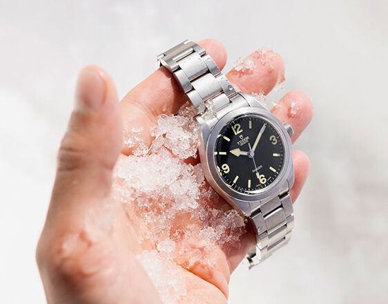 Fraser hart cheap tudor