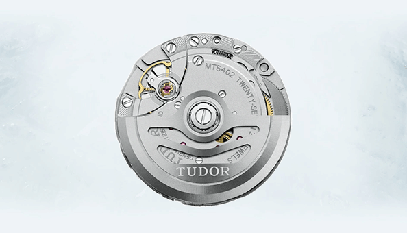 Mt5402 top