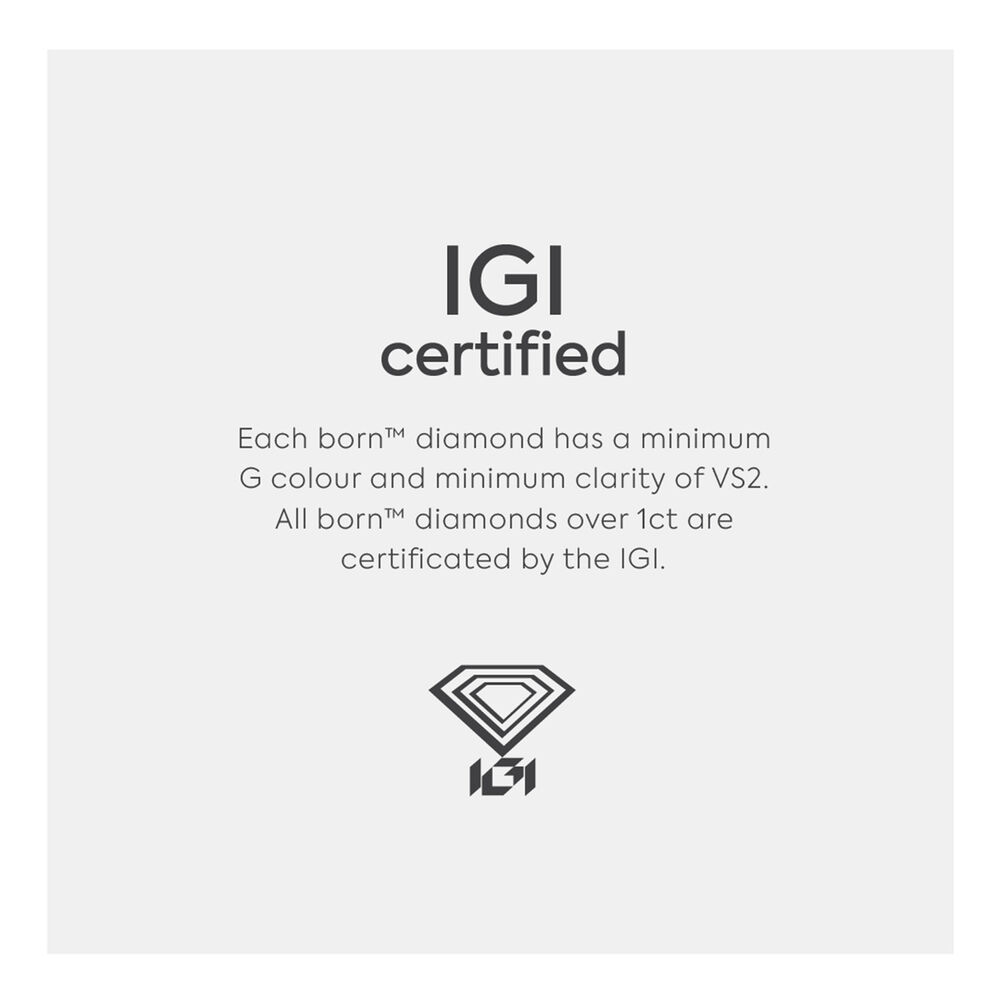 Born Platinum 3.14ct Oval Solitaire Diamond Ring image number 4