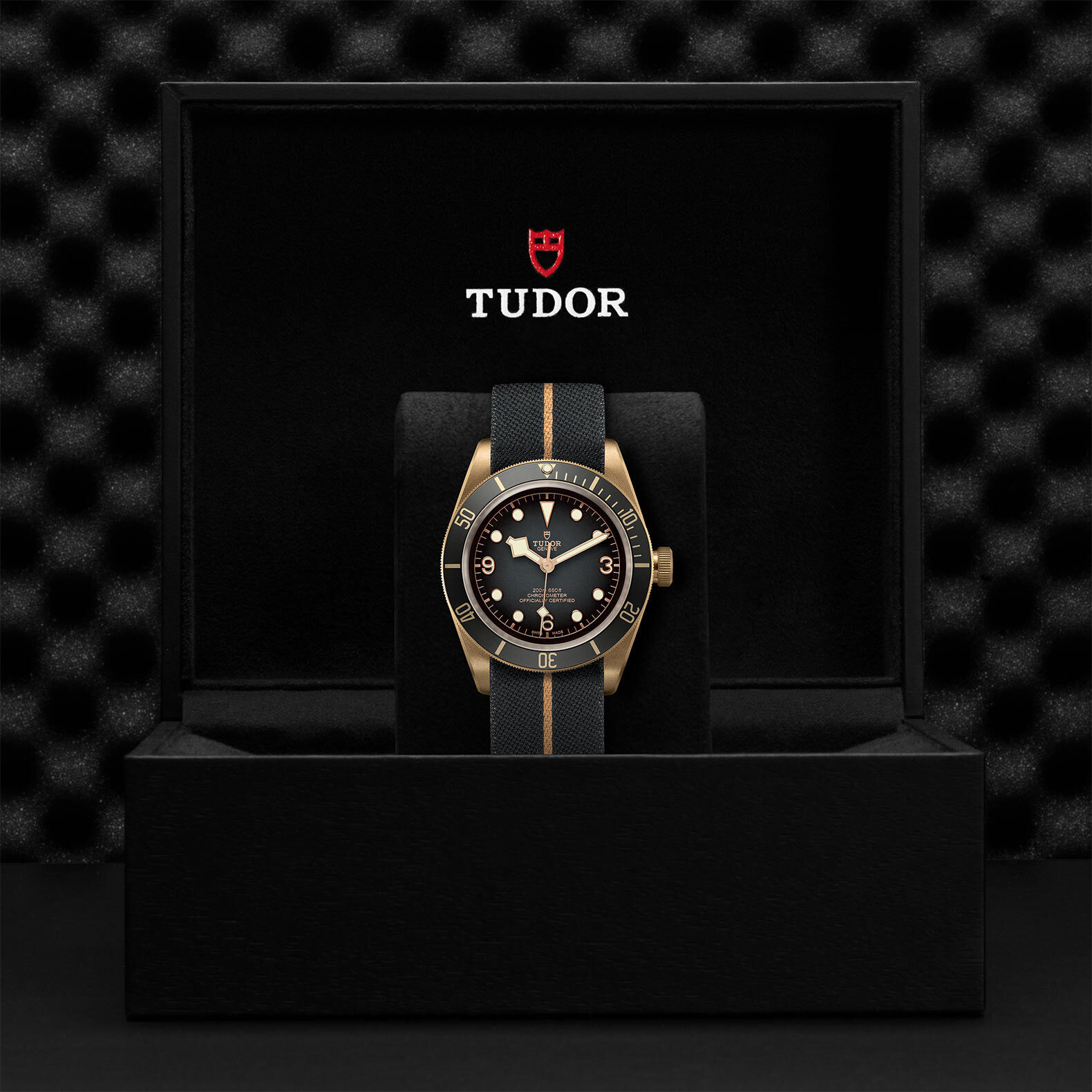 TUDOR Black Bay Bronze Swiss Dive 43mm Fabric Strap Mens Watch