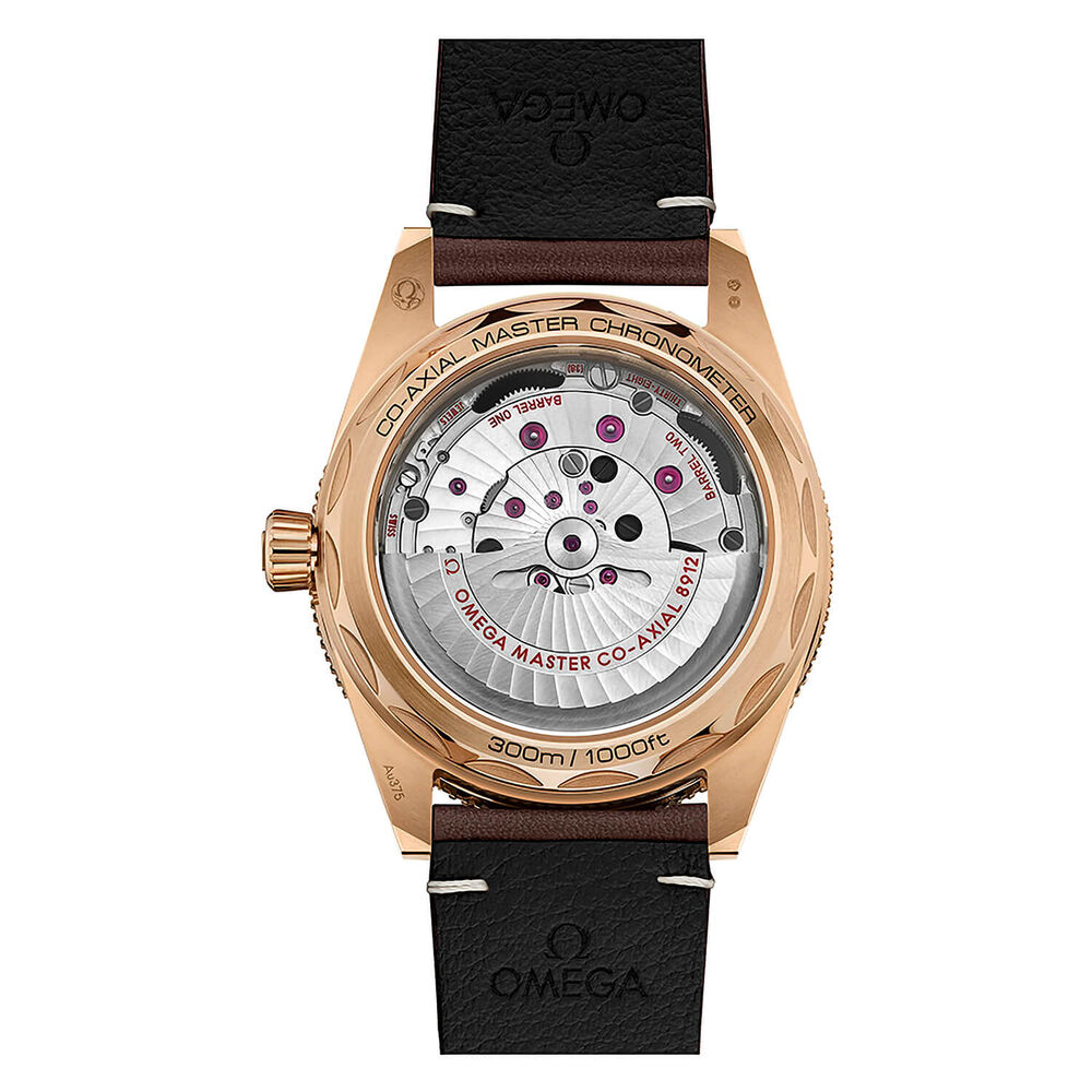 OMEGA Seamaster 300 Co-Axial Master Chronometer 41mm Dial Bronze Case Watch image number 1