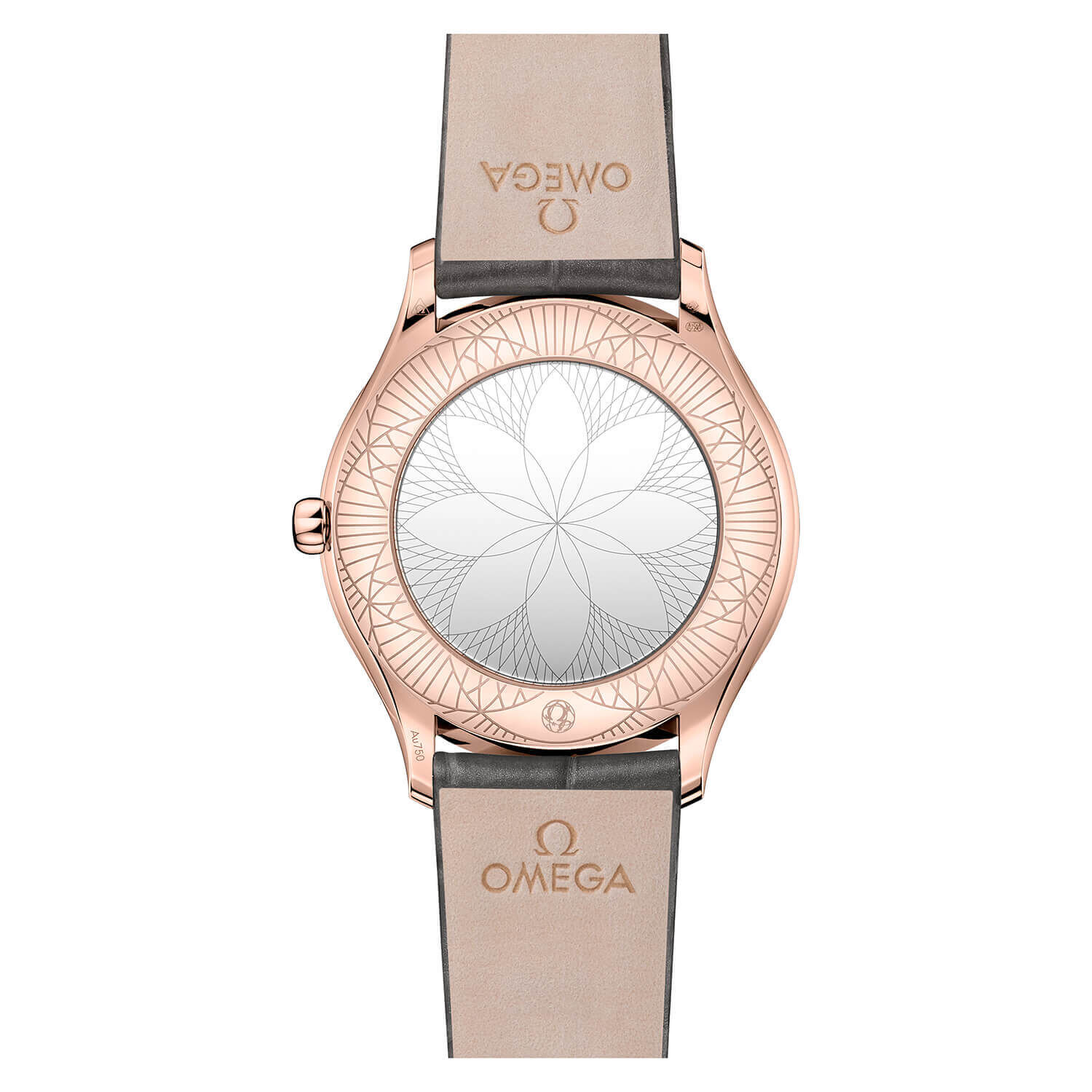 Sedna watch discount