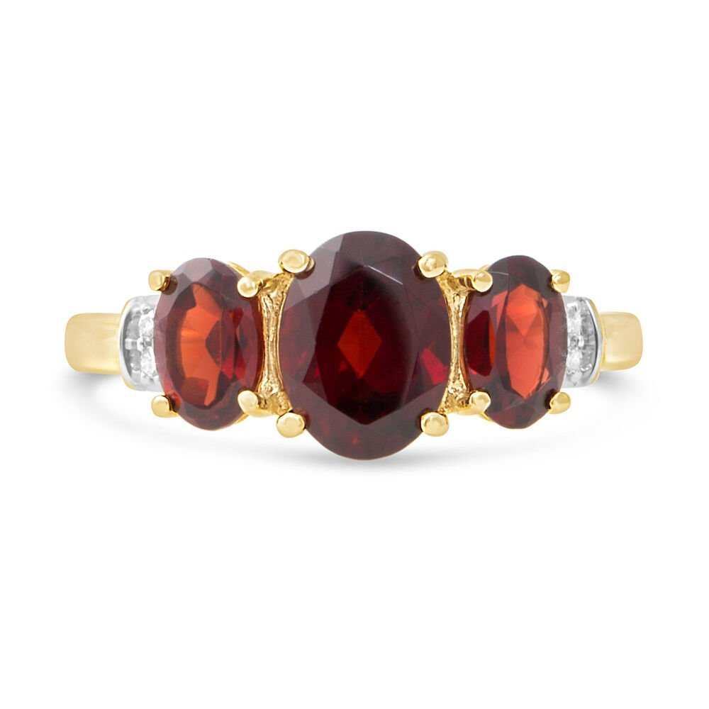 9ct Yellow Gold Garnet & Diamond Ring image number 1