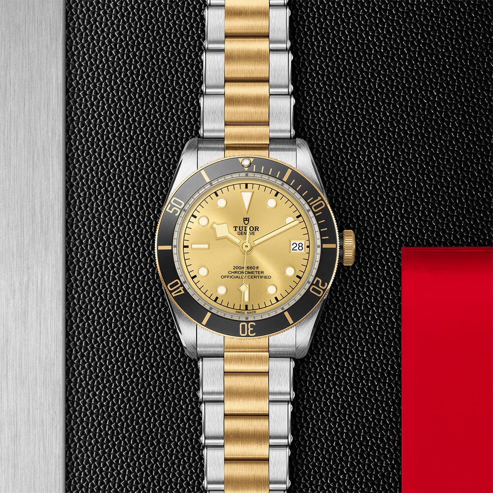 TUDOR Black Bay S&G Steel & Gold 41mm Men's Watch image number 3