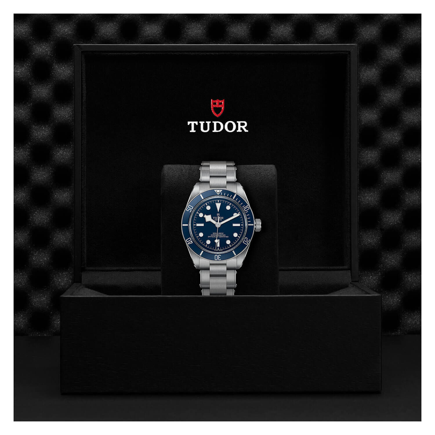 Tudor black bay sale navy