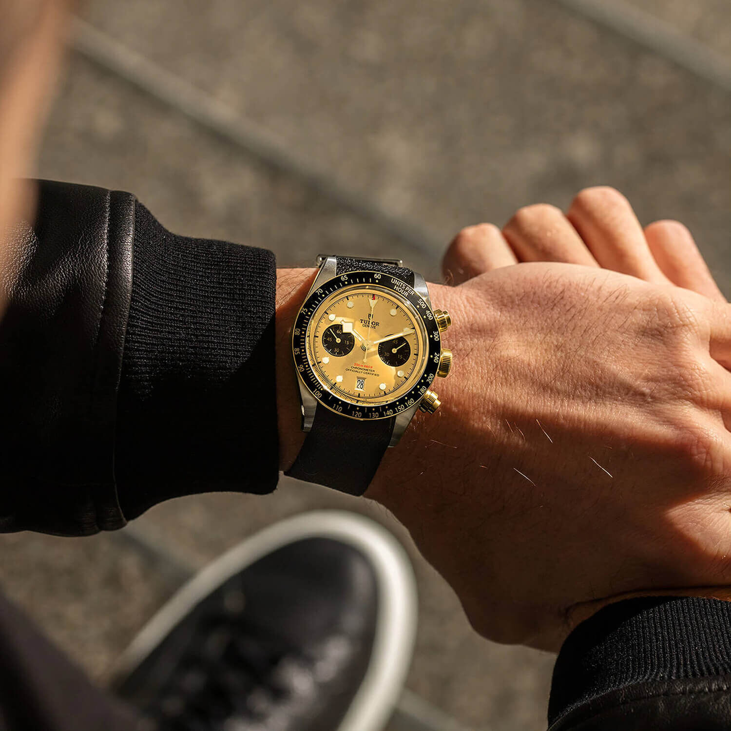 Black bay top chrono sg