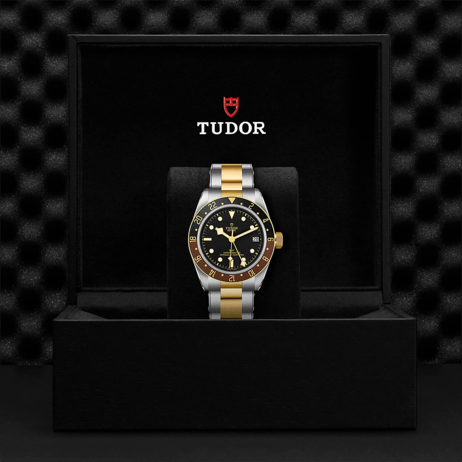 Tudor black bay clearance pvd
