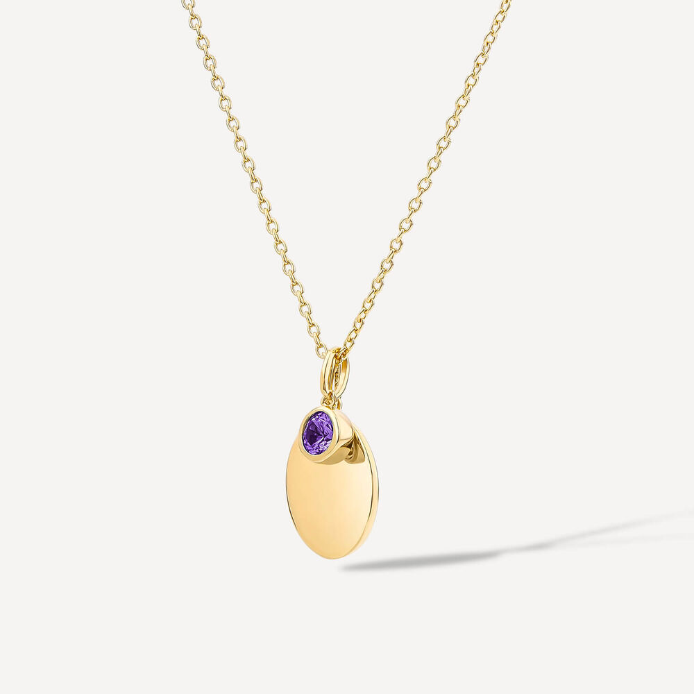 Yellow Gold Plated Vermeil Sterling Silver February Birthstone Amethyst Disc Pendant
