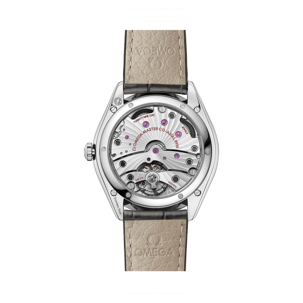 OMEGA De Ville Tresor Co-Axial Master Chronometer Small Seconds 40mm Grey Watch