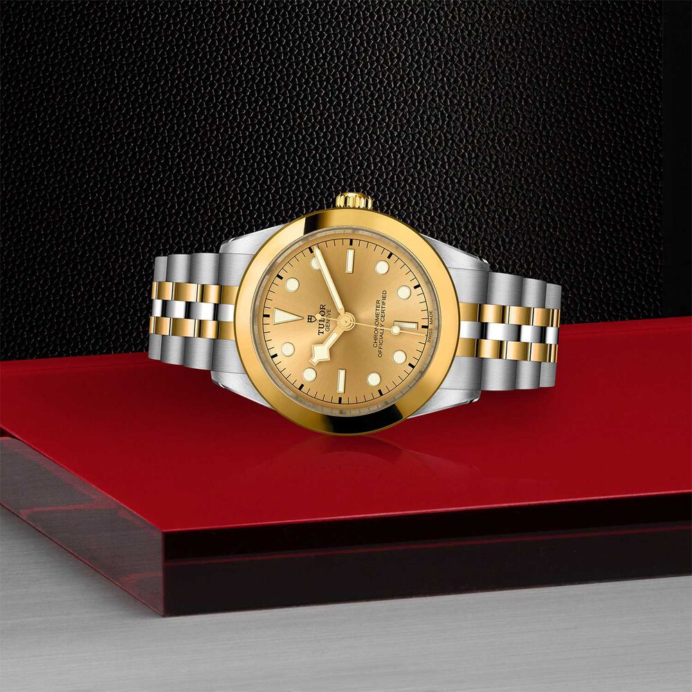 TUDOR Black Bay 39 S&G Champagne Dial Bracelet Watch image number 3
