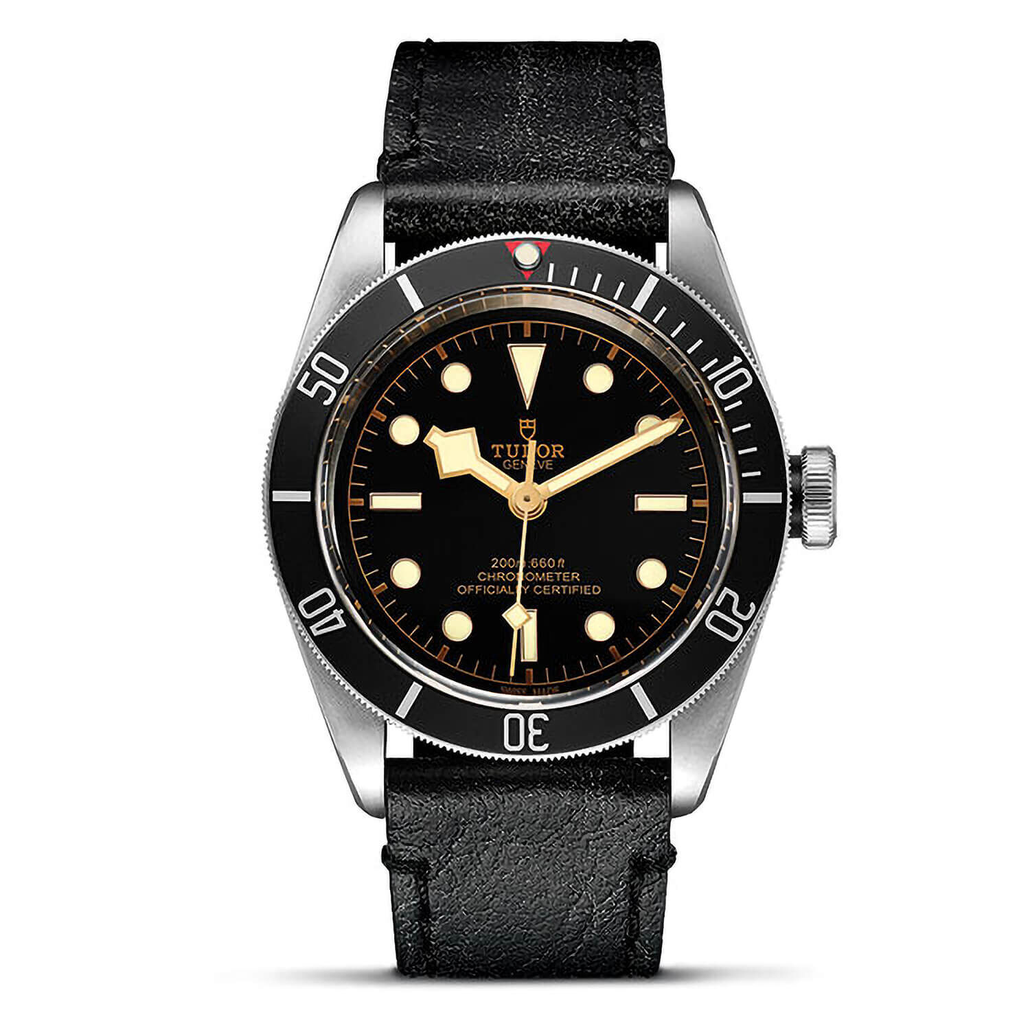 TUDOR Black Bay Leather Black Bezel Men s Watch