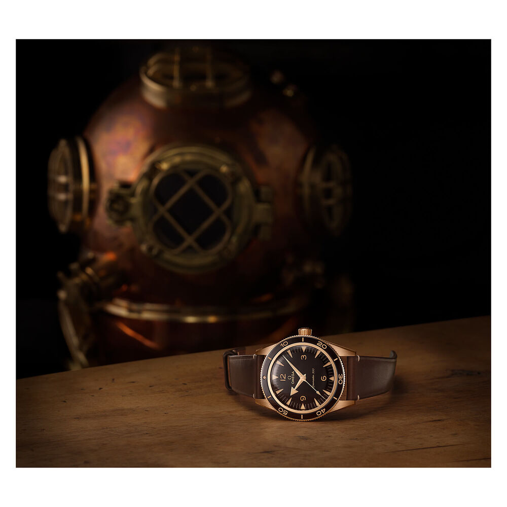 OMEGA Seamaster 300 Co-Axial Master Chronometer 41mm Dial Bronze Case Watch image number 5