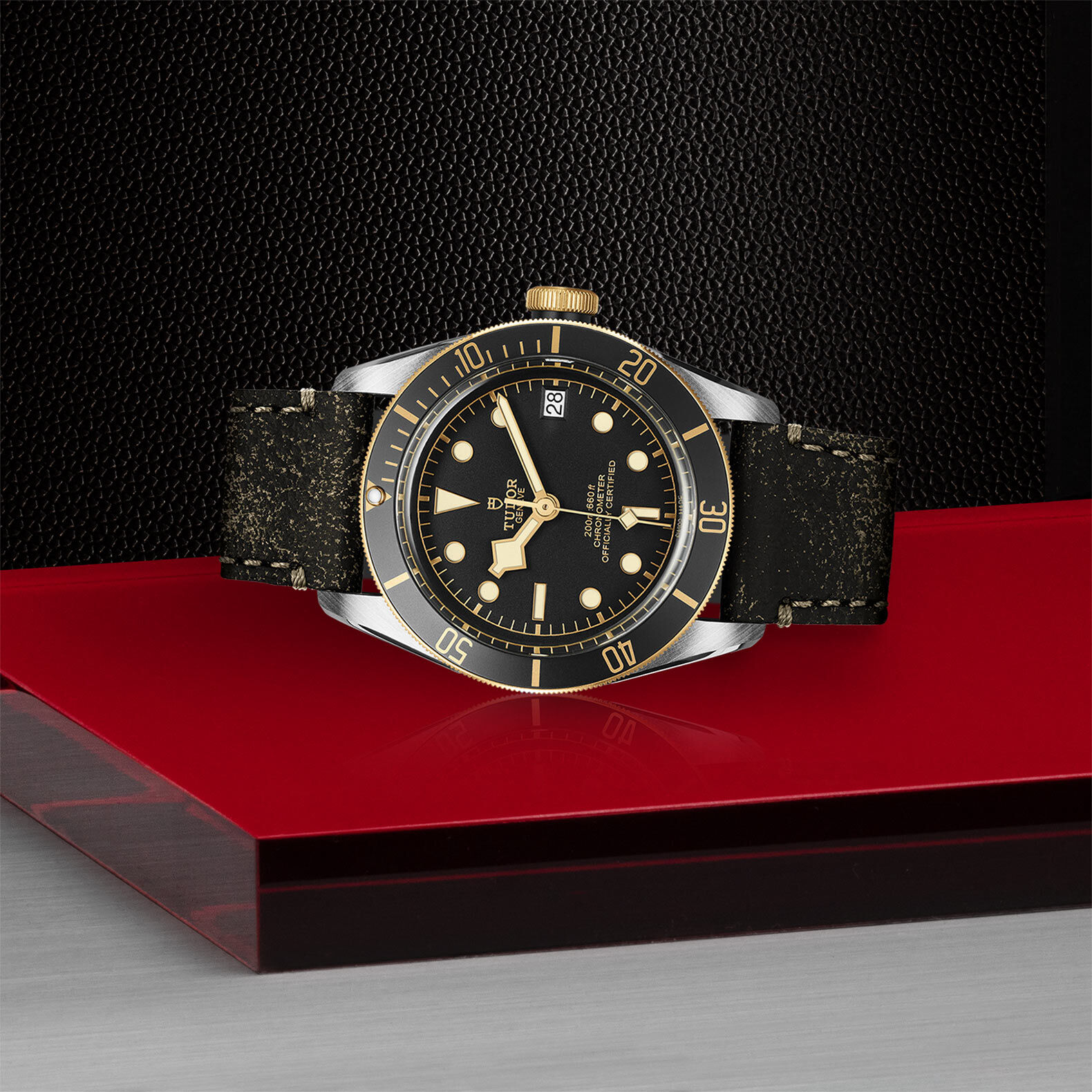Tudor black bay new arrivals black and gold
