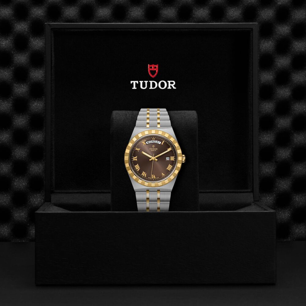 TUDOR Royal 41mm Day & Date Chocolate Roman Numerals Dial Watch image number 4