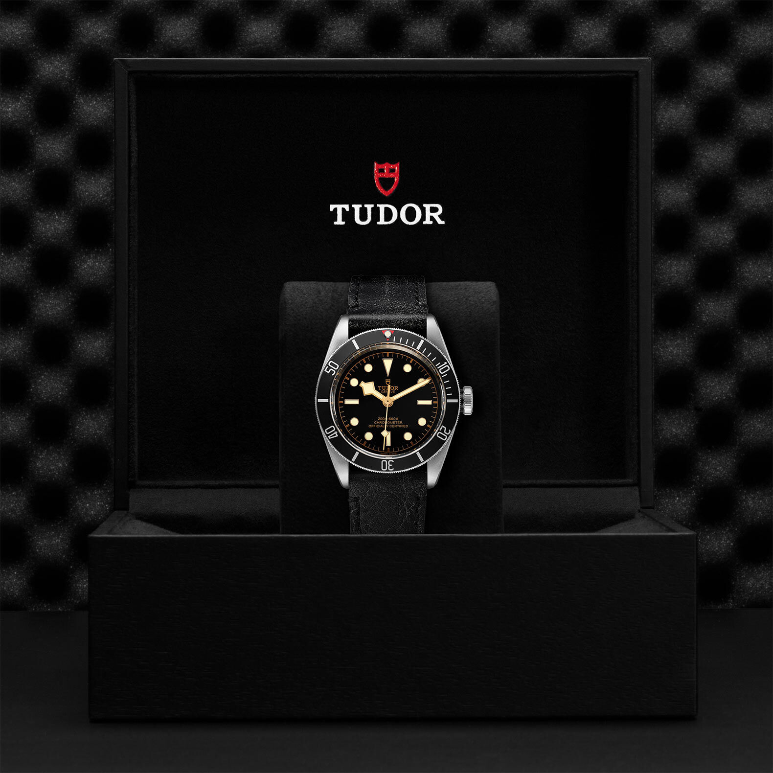 Tudor black bay black bezel on sale