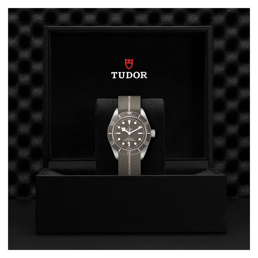 TUDOR Black Bay Fifty-Eight 39mm Grey Dial Silver Case Brown Fabric Strap Watch image number 3
