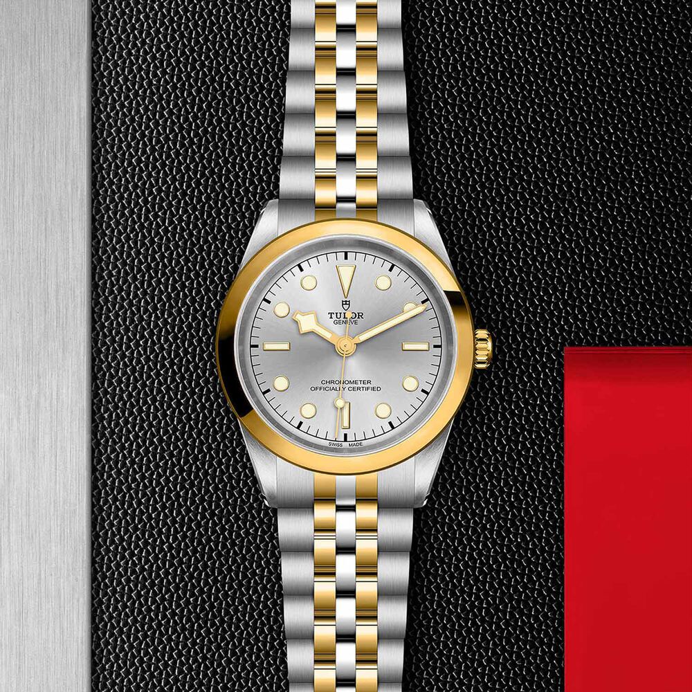 TUDOR Black Bay 41 S&G Silver Dial Bracelet Watch image number 3