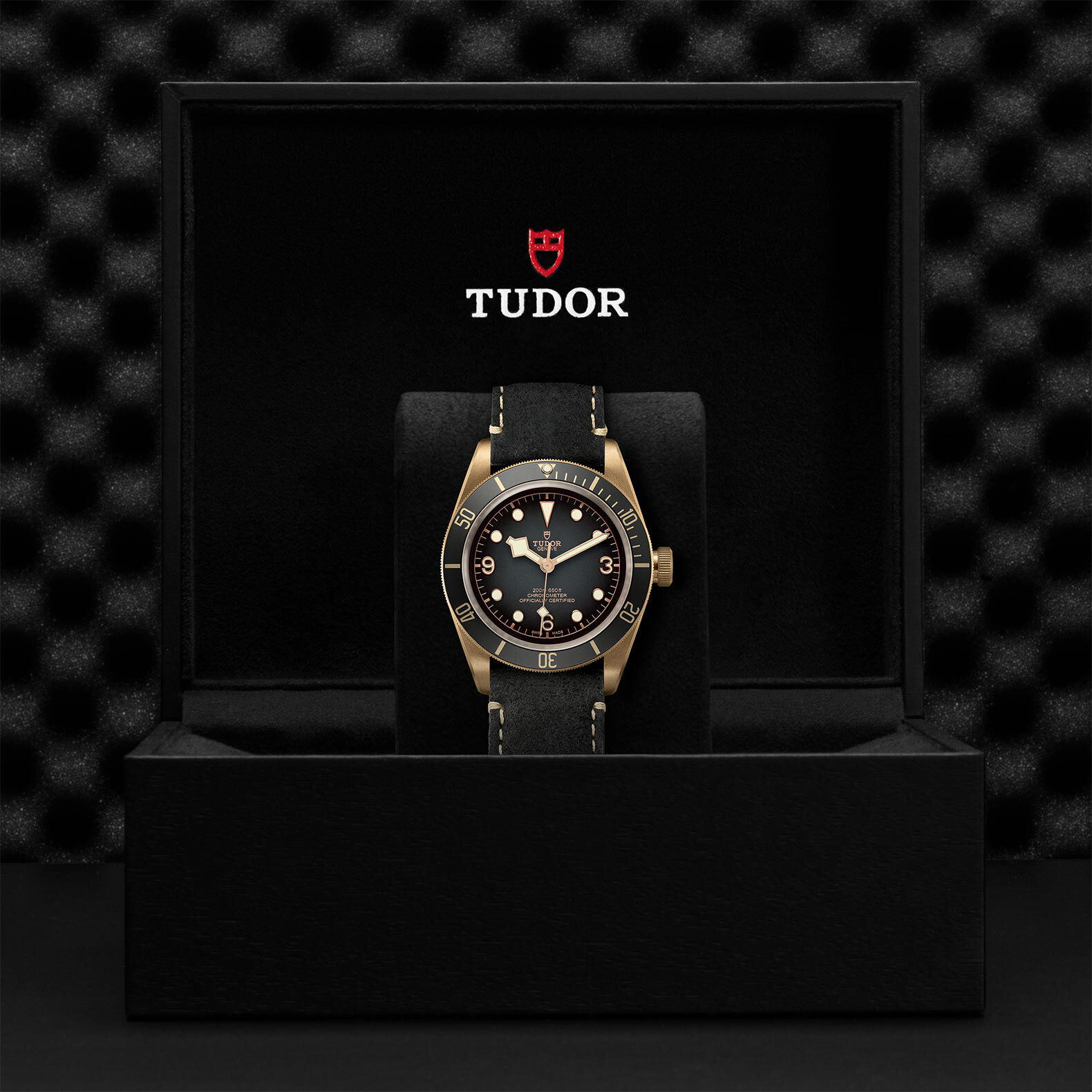 Tudor discount bronze price