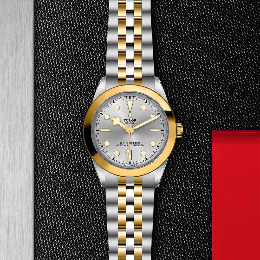 TUDOR Black Bay 39 S&G Silver Dial Bracelet Watch image number 3