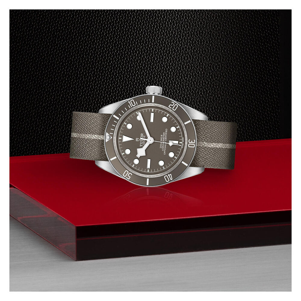 TUDOR Black Bay Fifty-Eight 39mm Grey Dial Silver Case Brown Fabric Strap Watch image number 2