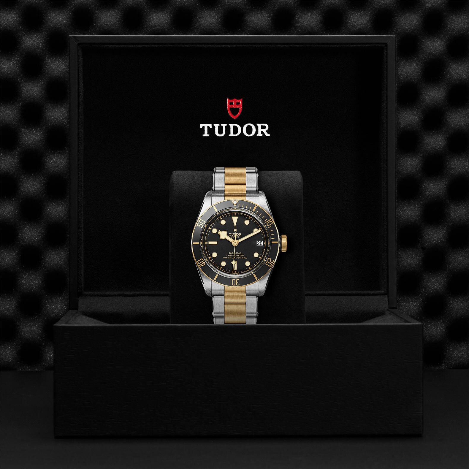 Tudor clearance bb s&g