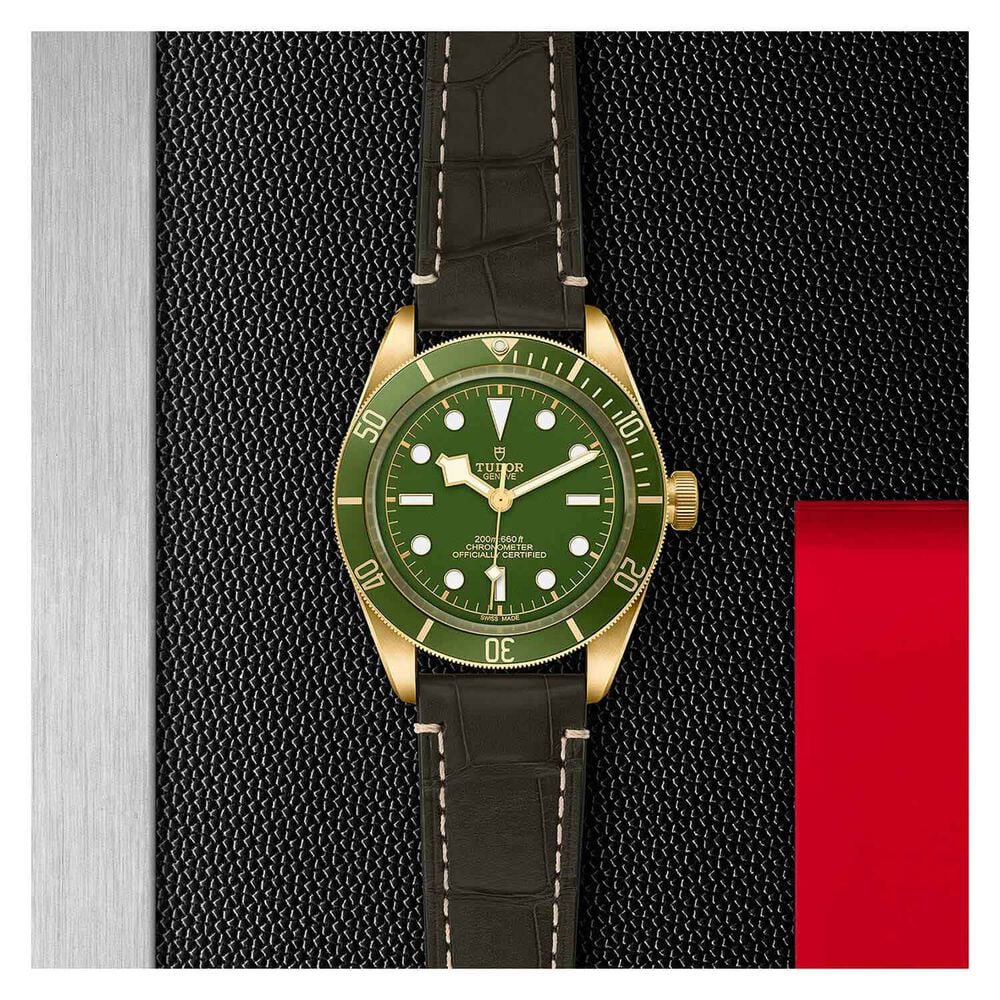 TUDOR Bay Fifty-Eight 39mm 18ct Yellow Gold Case Green Dial Leather Strap Watch image number 3