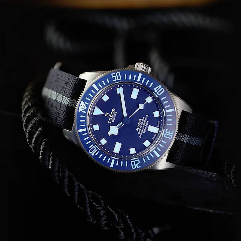 TUDOR Pelagos FXD 42mm Blue HMK Dial Blue & Grey Fabric Strap Watch (2024) image number 6