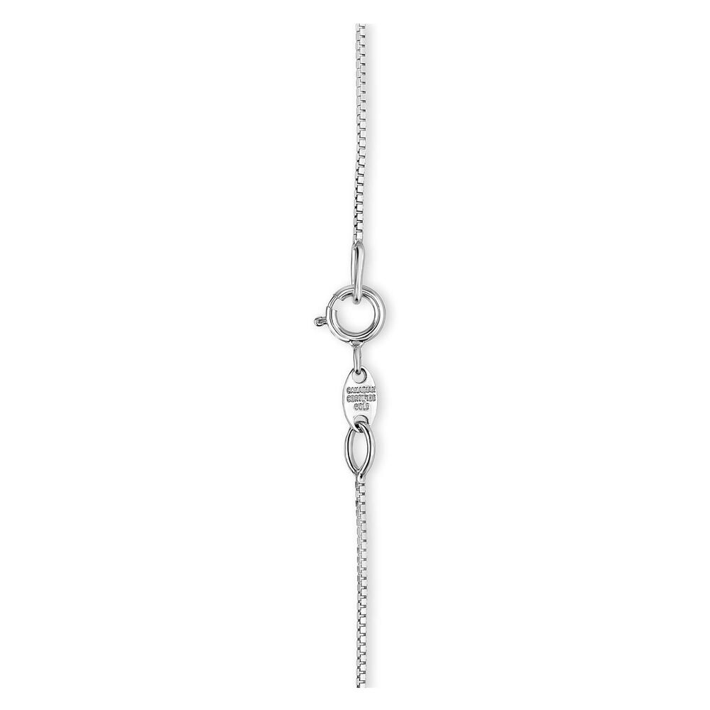Northern Star 18ct White Gold 0.33ct Diamond Shape Halo Pendant image number 3