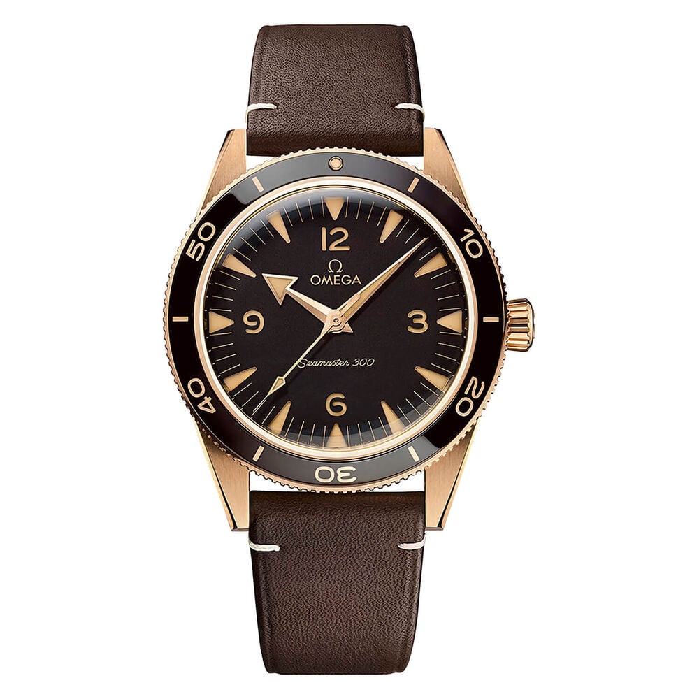 OMEGA Seamaster 300 Co-Axial Master Chronometer 41mm Dial Bronze Case Watch image number 0