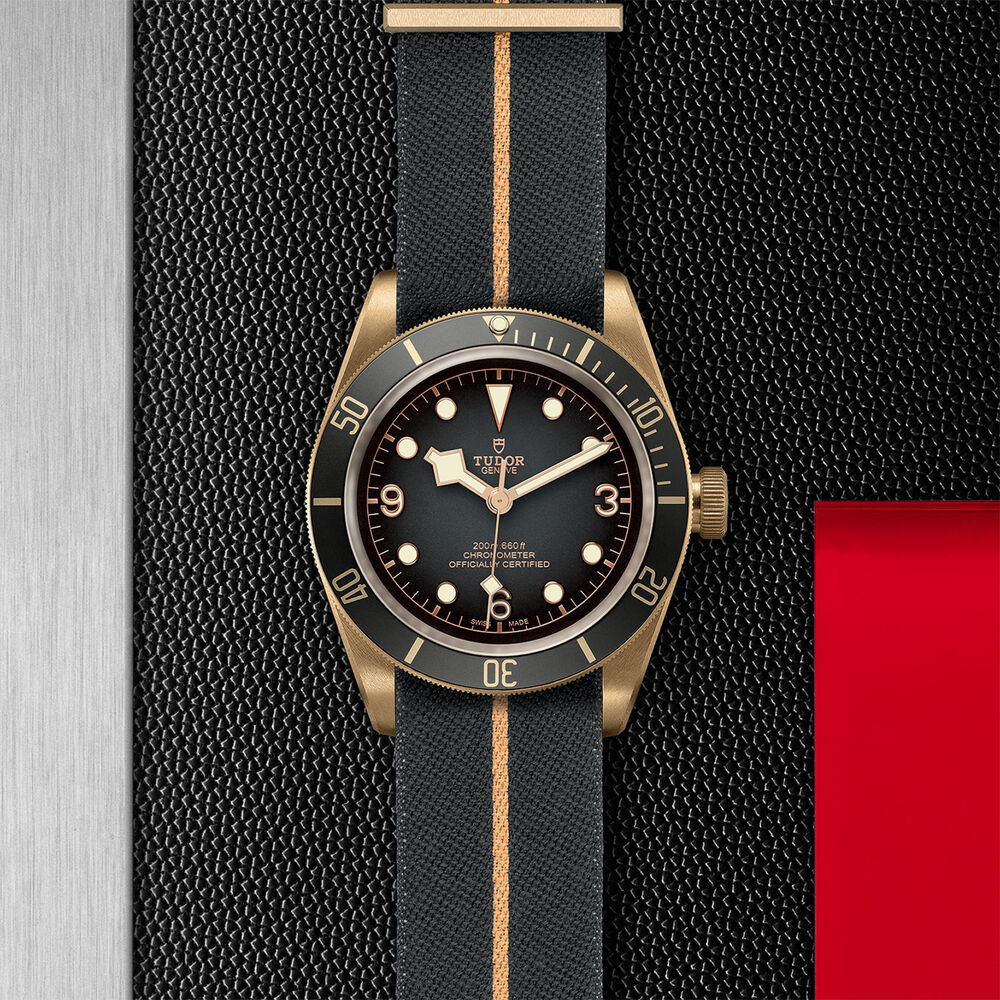 TUDOR Black Bay Bronze Swiss Dive 43mm Fabric Strap Mens Watch image number 3