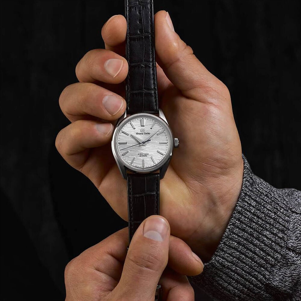 Grand Seiko Evolution 9 'Birch Bark' Titanium Hi-Beat 38.6mm Silver Dial Leather Strap Watch