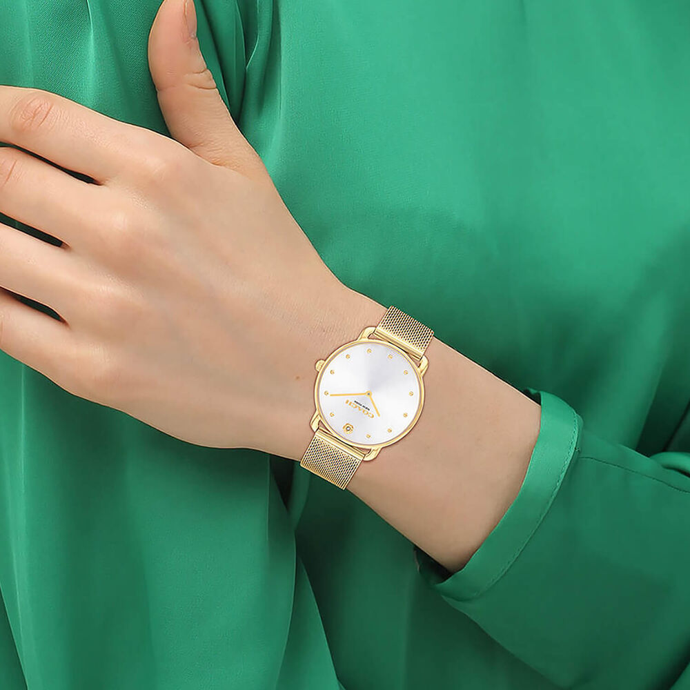 Coach Elliot 36mm Silver Dial Gold Tone Steel Mesh Bracelet Watch