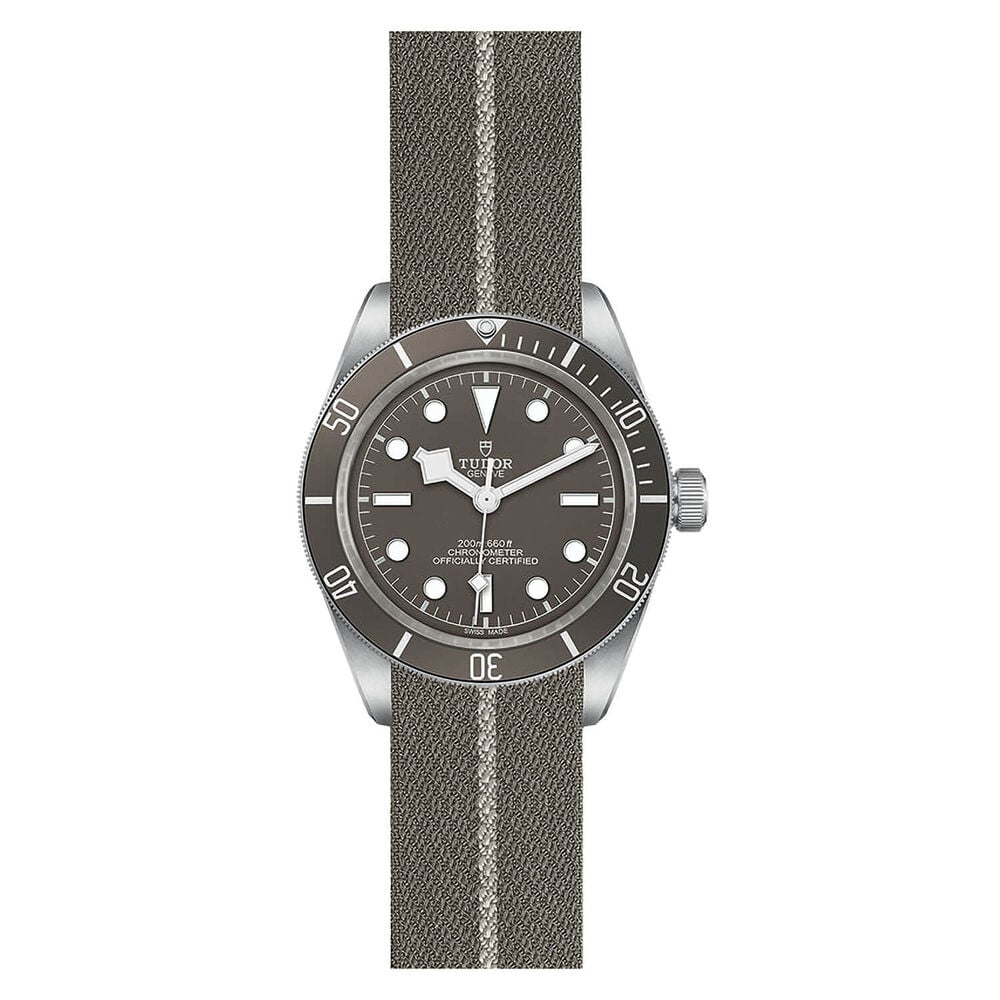TUDOR Black Bay Fifty-Eight 39mm Grey Dial Silver Case Brown Fabric Strap Watch image number 1